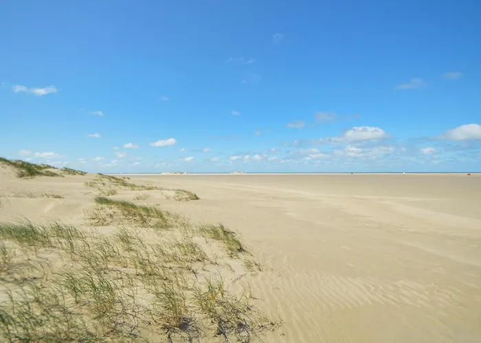 Gorgeous In With Sauna Romo